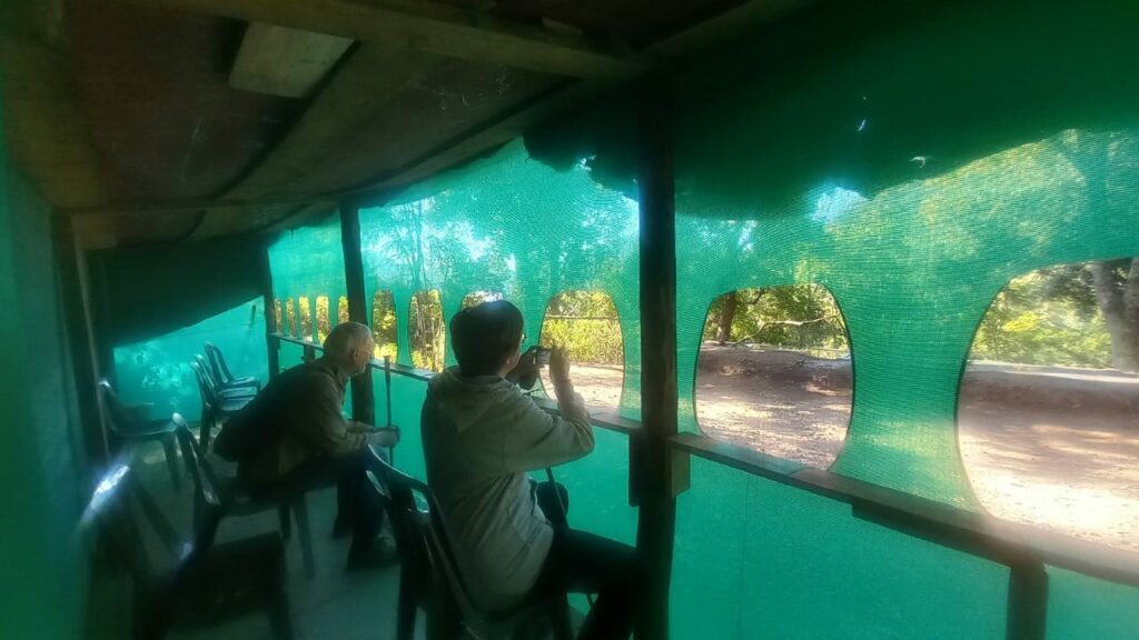 Bird Watching at Fredy's Bungalow